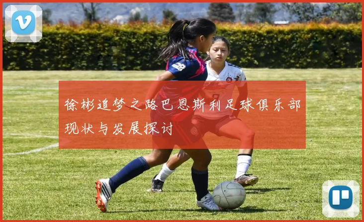 徐彬追梦之路巴恩斯利足球俱乐部现状与发展探讨